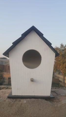 (Pack of 3) Wooden New Style Bird House