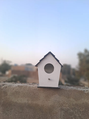 (Pack of 3) Wooden New Style Bird House