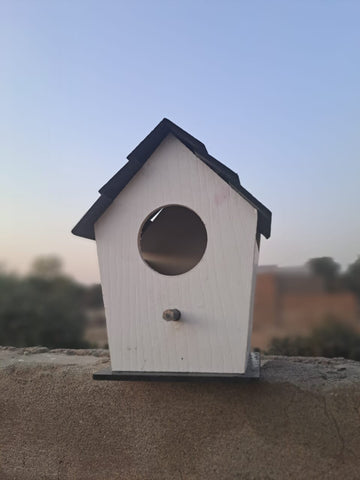 (Pack of 3) Wooden New Style Bird House